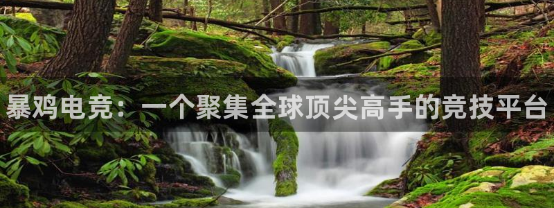 乐竞电竞在线入口