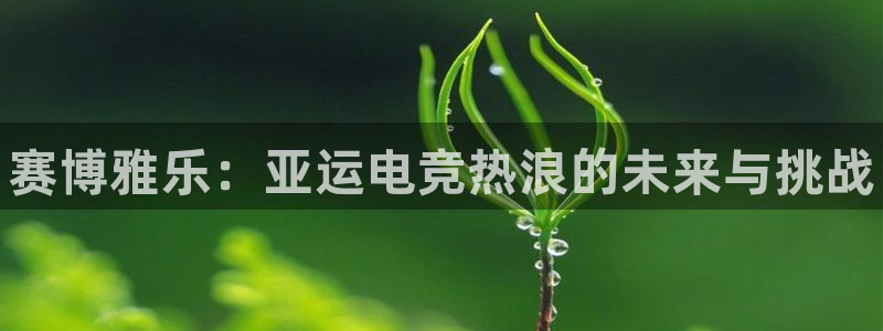 乐竞电竞·电子竞技平台