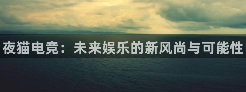 乐竞电竞体育首页：夜猫电竞：未来娱乐的新