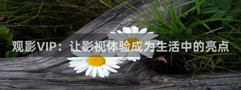 影视大全影院