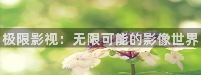 八戒电影免费观看大全影视