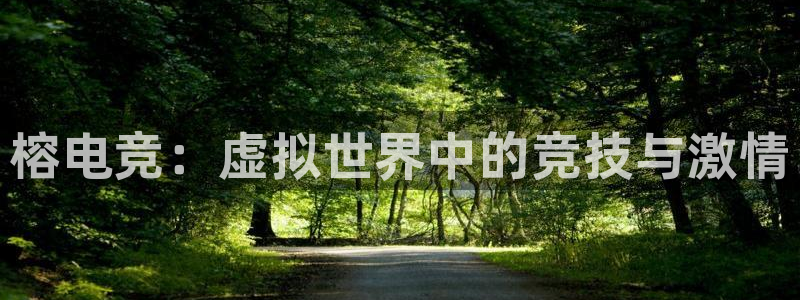 乐竞电竞网页APP下载：榕电竞：虚拟世界中的竞技与激情