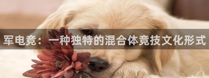 乐竞电竞源码：军电竞：一种独特的混合体竞技文化形式