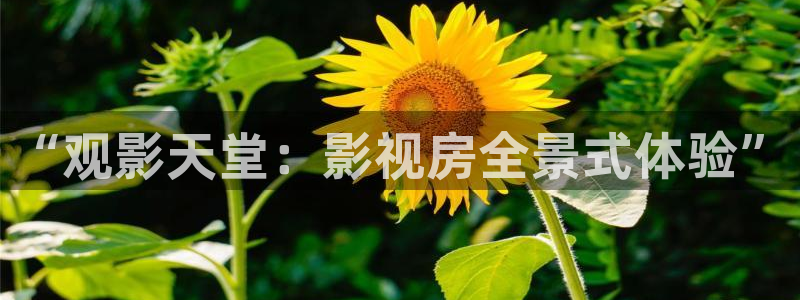 影视大全影院
